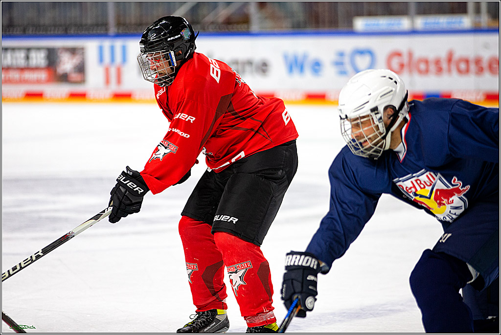 PENNY DEL; Koelner Haie- Red BUll Muenchen Sponsorenspiel; Koeln, 08.11.2022